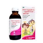 ASCOF Lagundi Syrup STRAWBERRY (300mg/5mL)